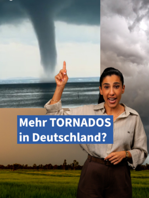 @Frankfurter Allgemeine