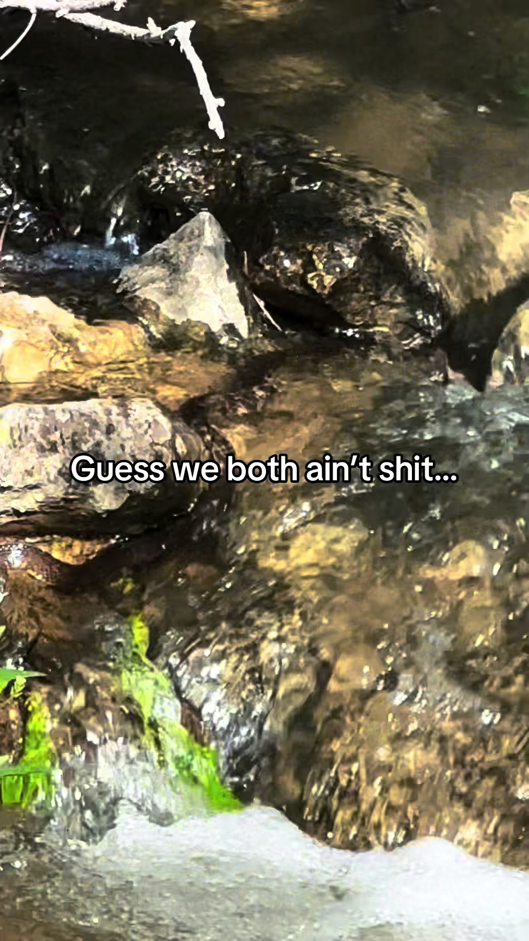 @Keri Mae Anderson
