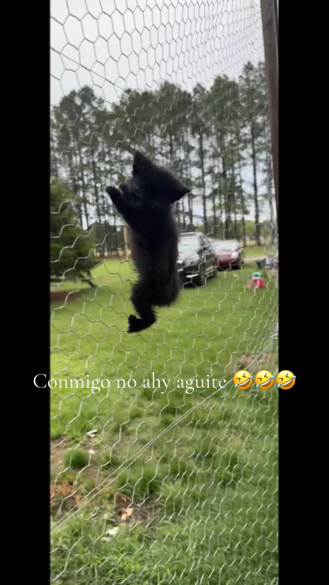 @Hernández 🥰🥰
