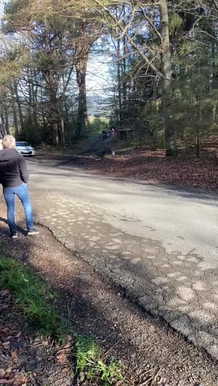 @dieterroelandt_