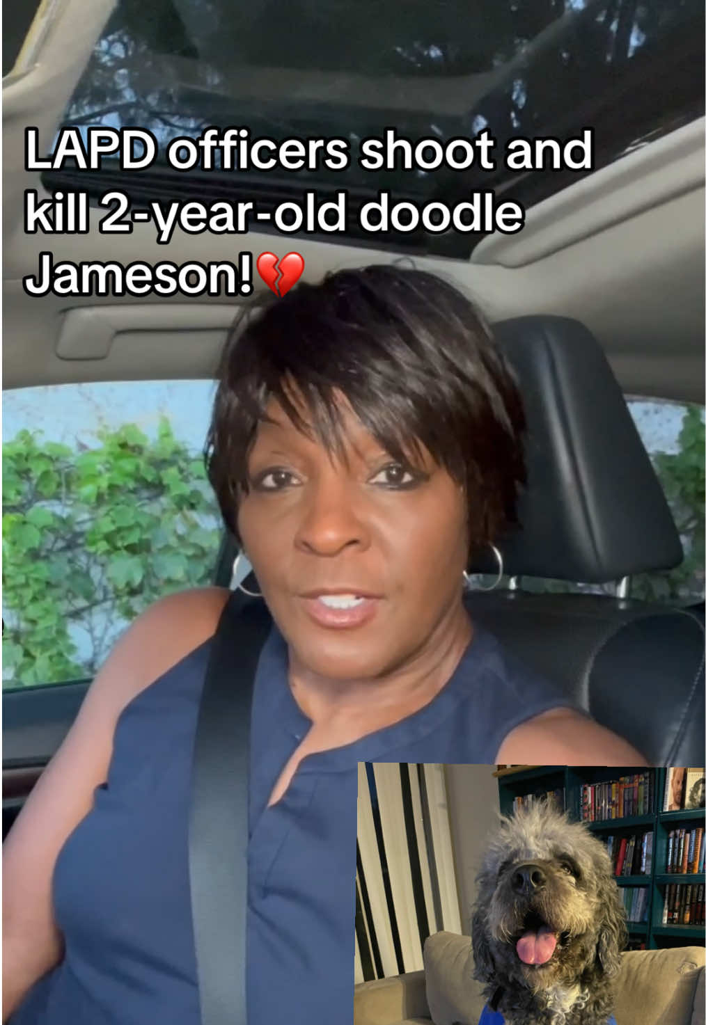 @Tall_lioness64♌️