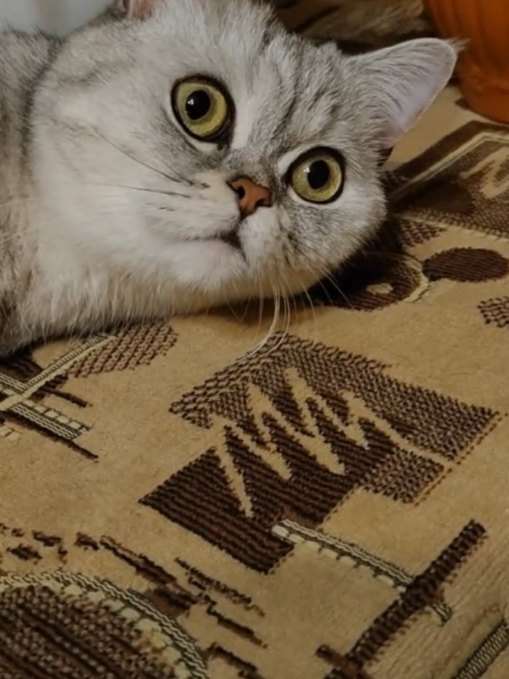@🤗Леночка