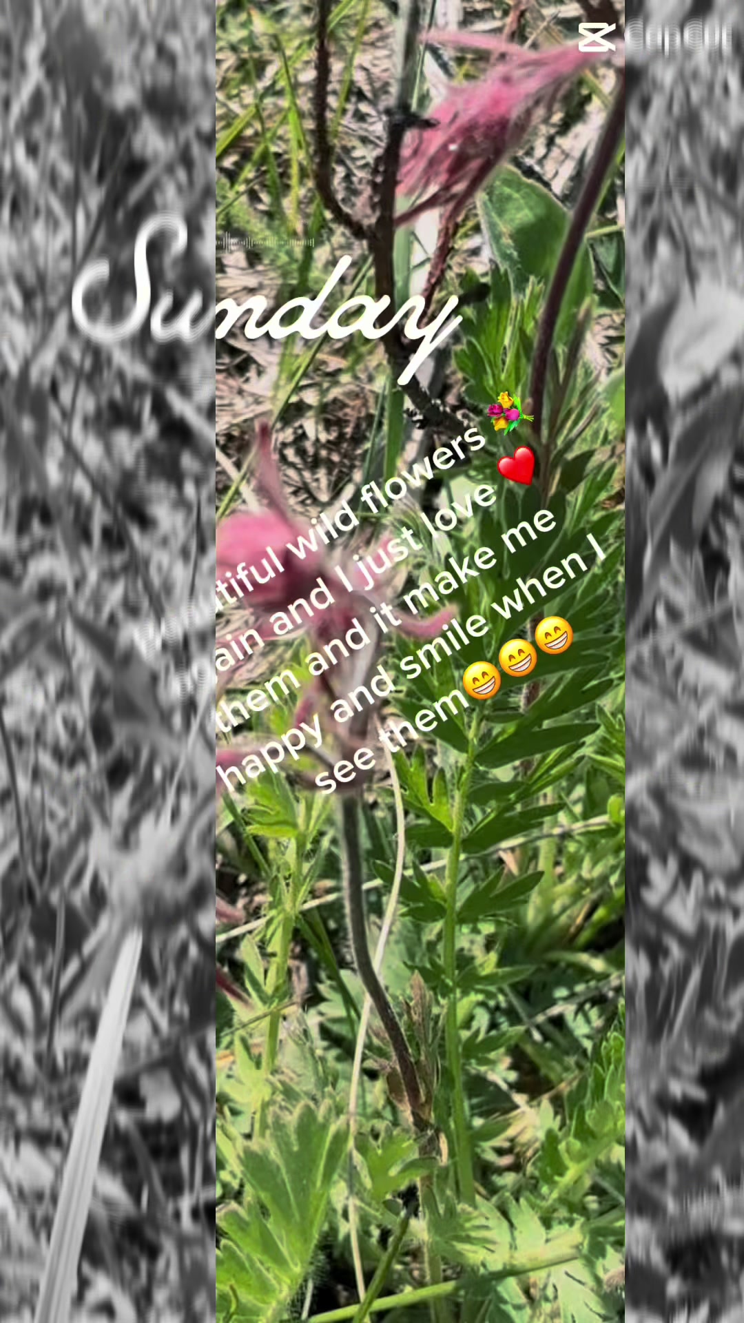 @VILMA KRANK