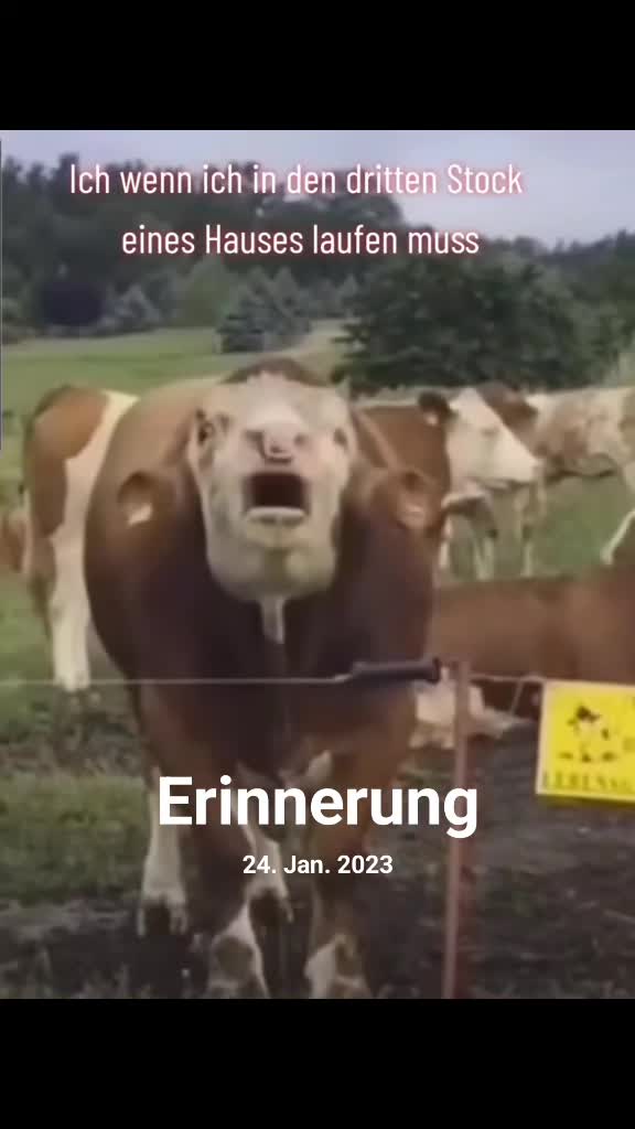 @Sven V8
