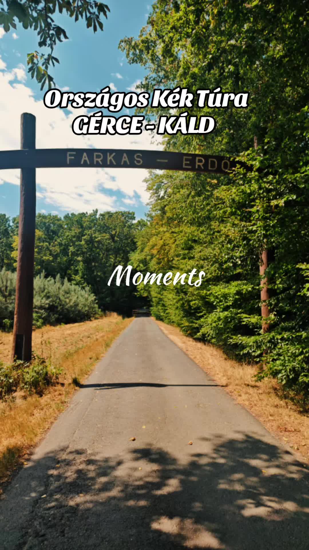@✨𝓥𝓮𝓻𝓲𝓽𝓪 𝓓𝓸. ✨🪄