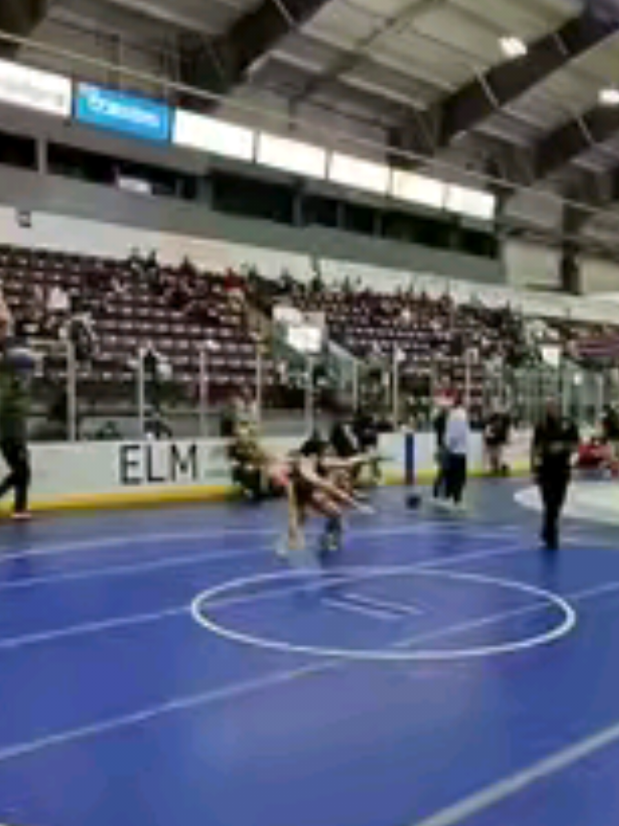 @American Wrestling Academy