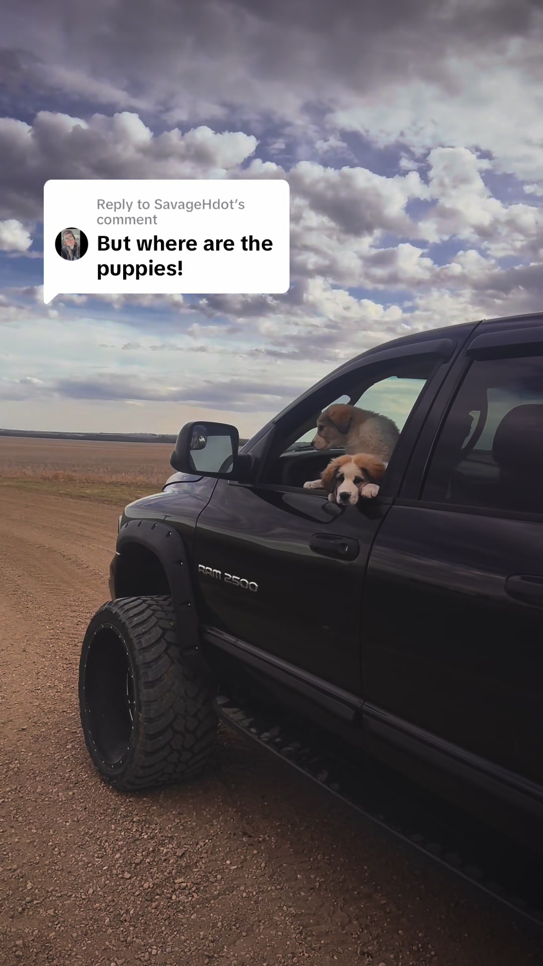 @5thgenfarmgirl