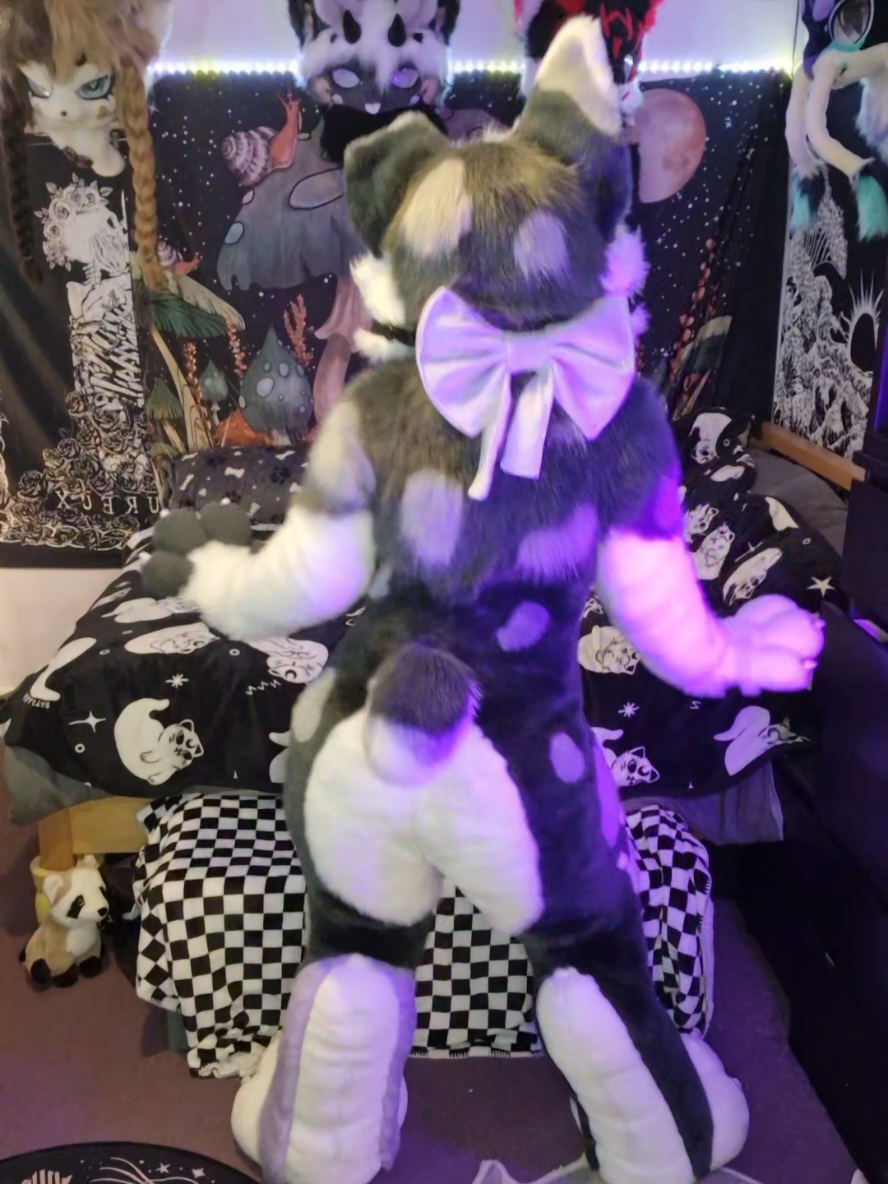 @Bailey (lilpixiekitten)