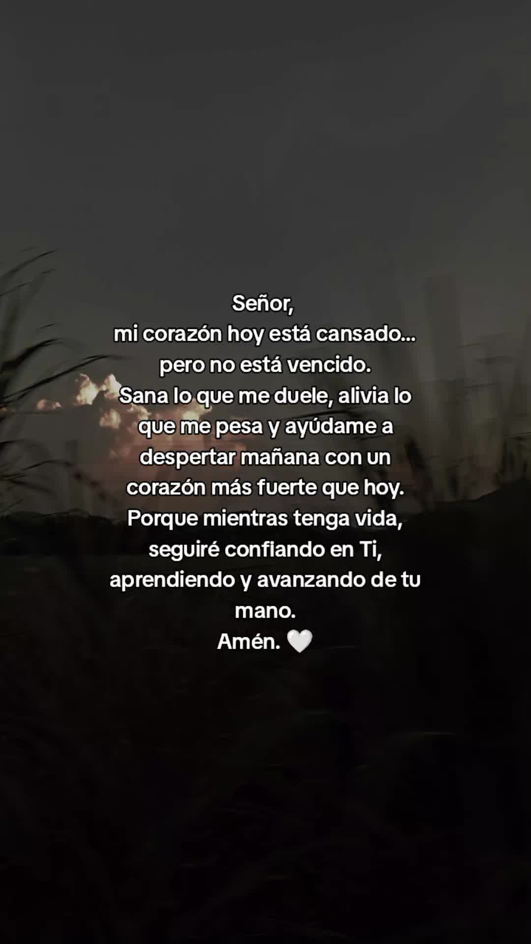 @Maya Ortiz