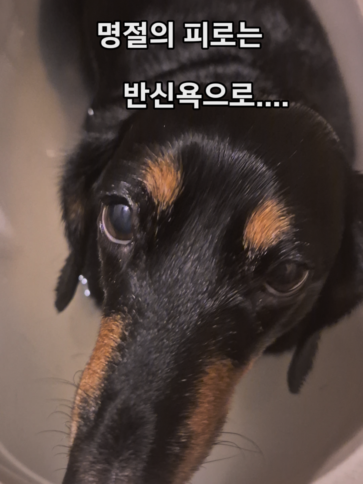 @코코대디