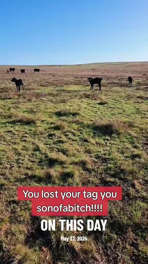 @The Unhinged Rancher