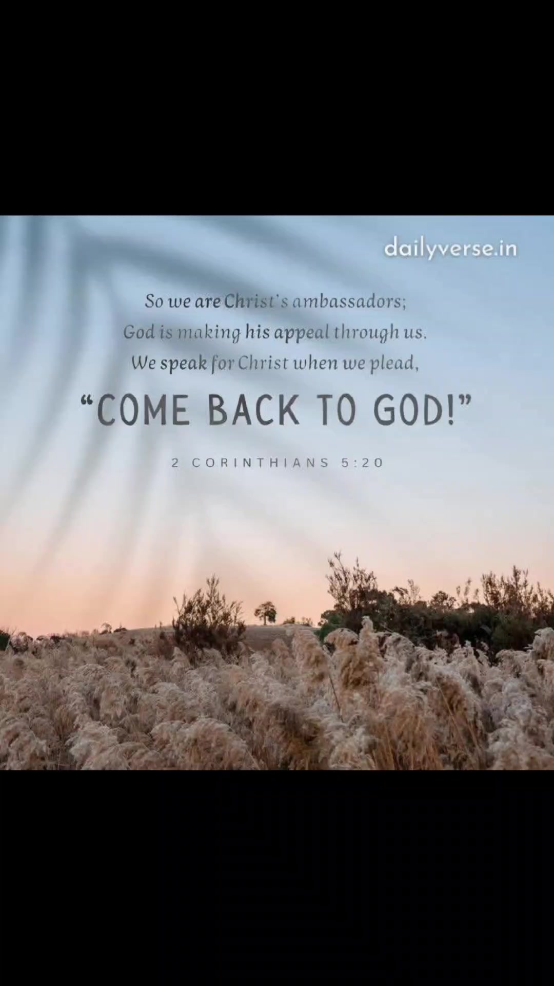 @✝️🤍Joy✝️🤍
