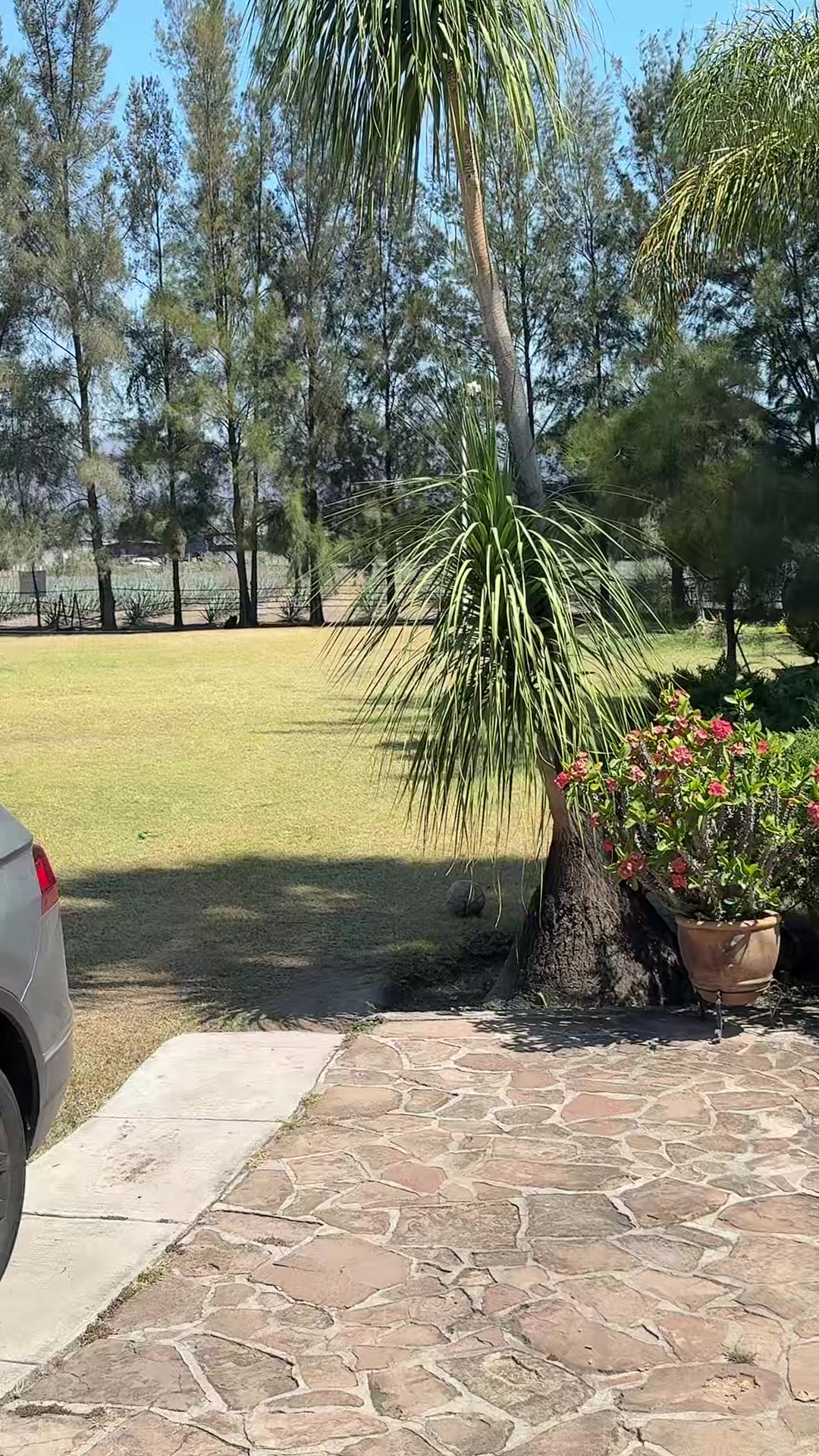 @soccermom8a13