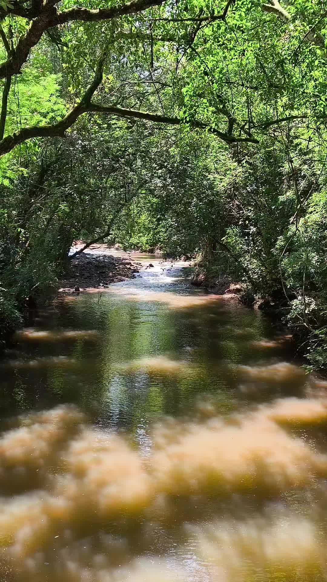 @Brasil 1500