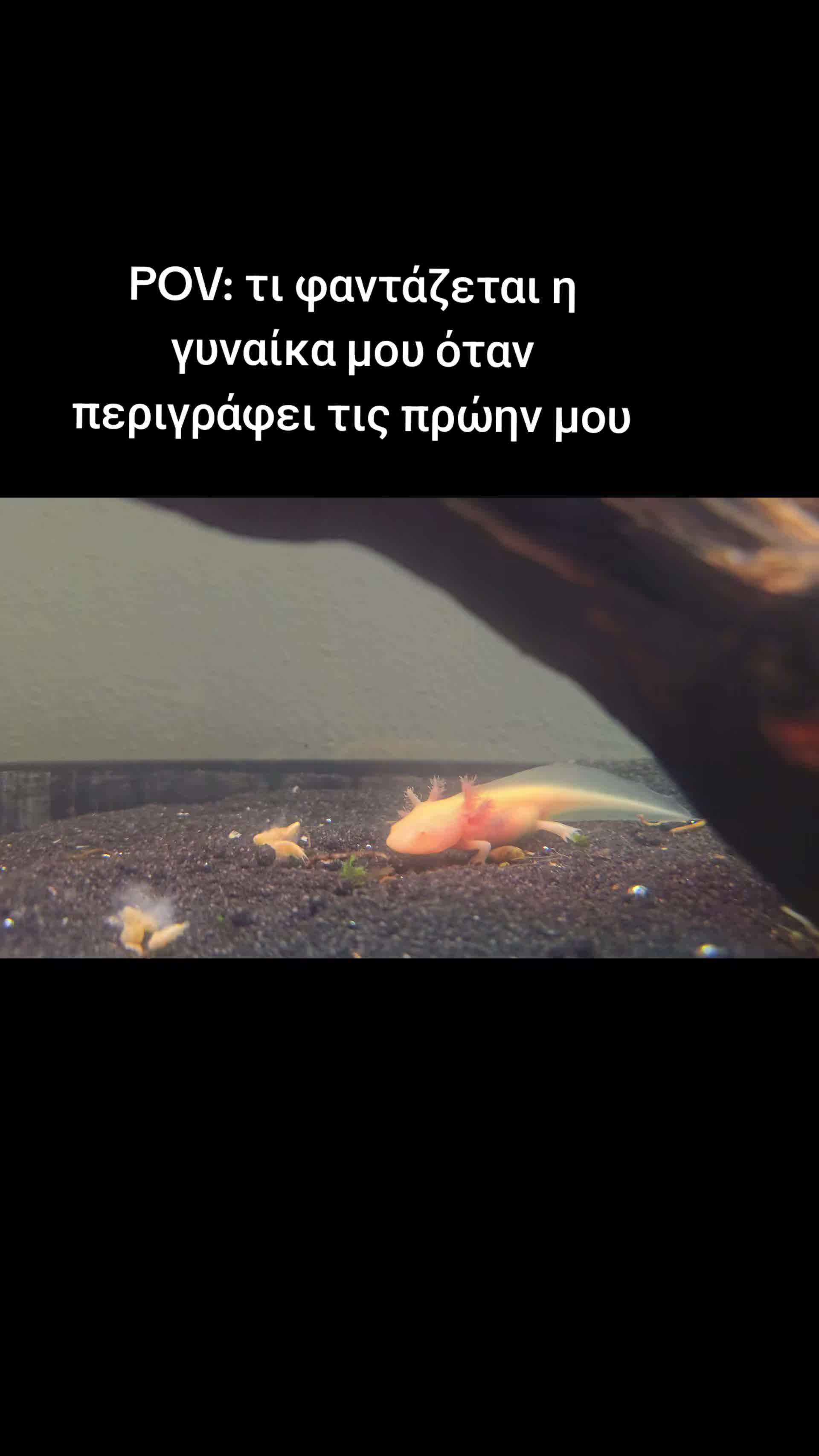 @Fotis Nikou