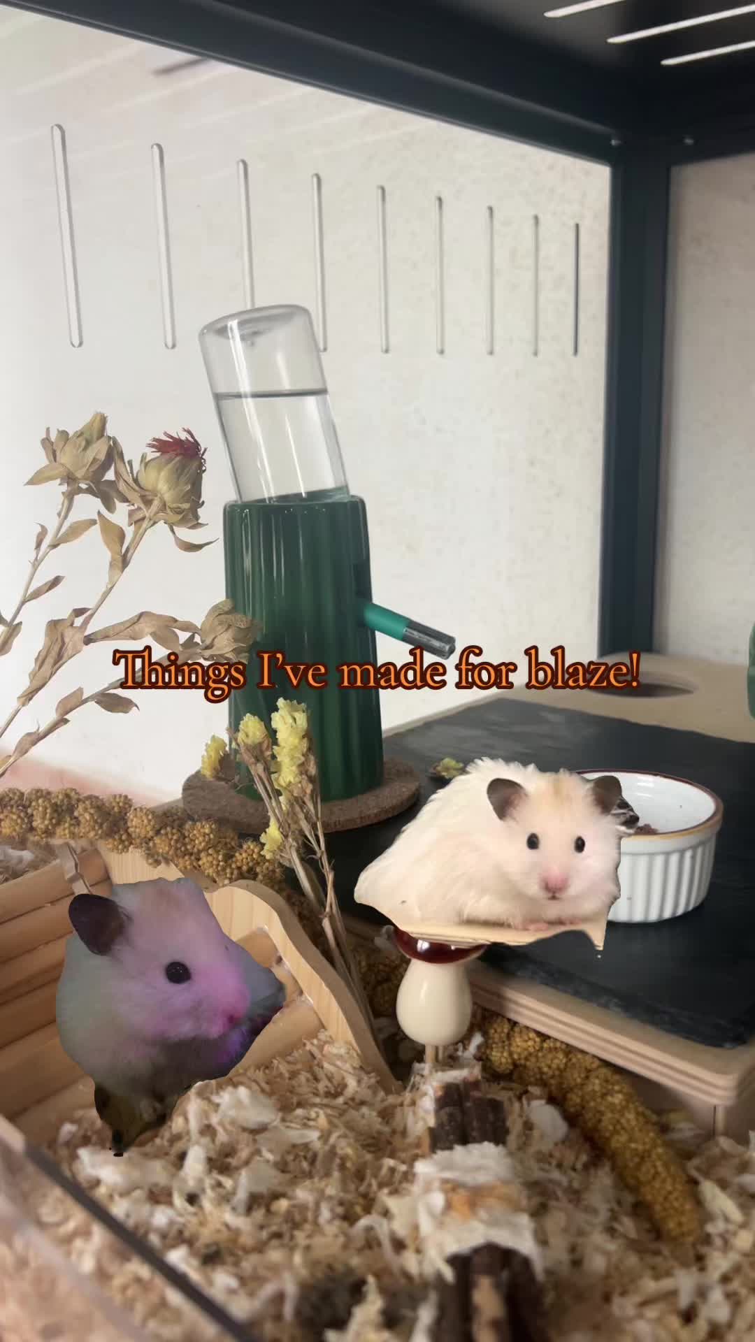 @Blaze🫶🏻