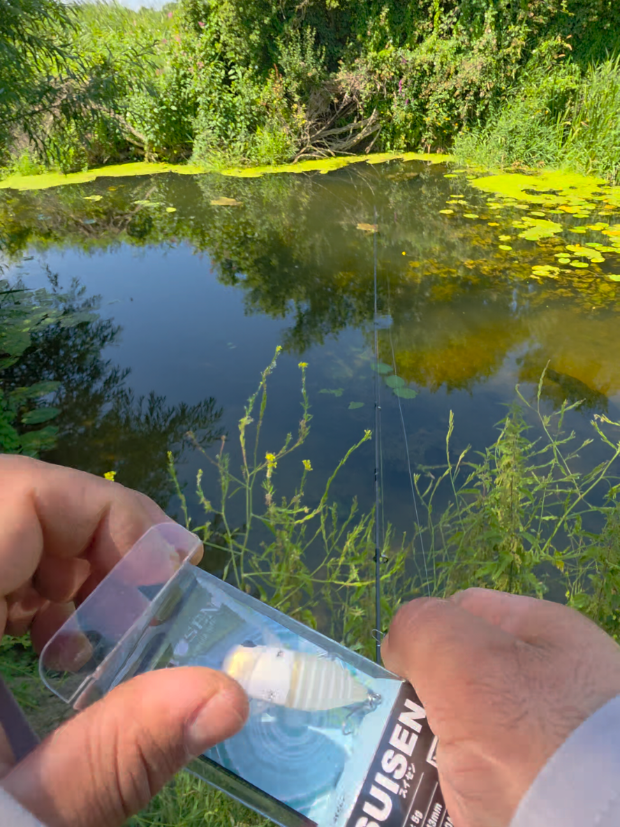 @BF Angler
