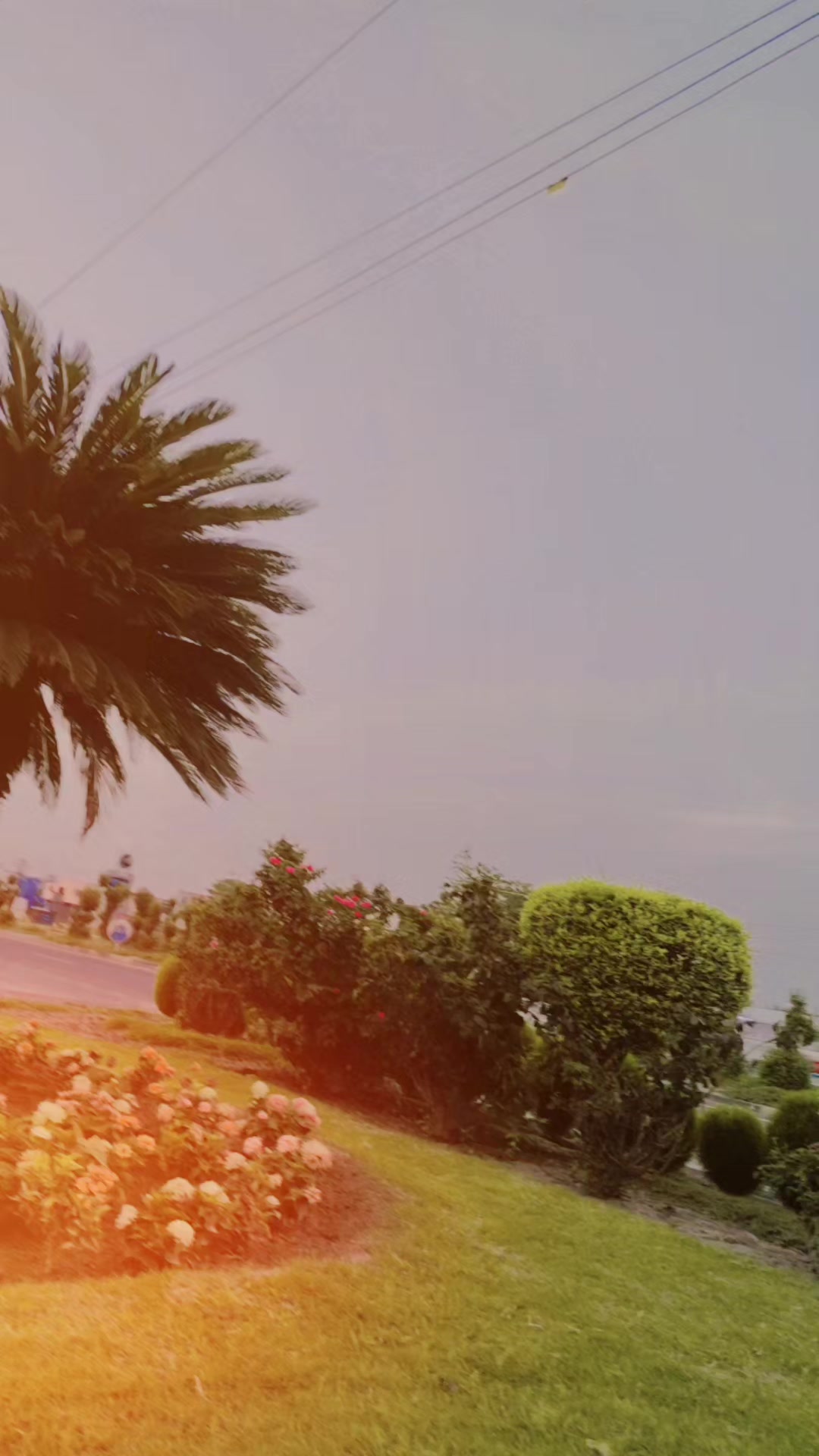 @🫰🍂 نظام گلی سیٹ 🚩🫰