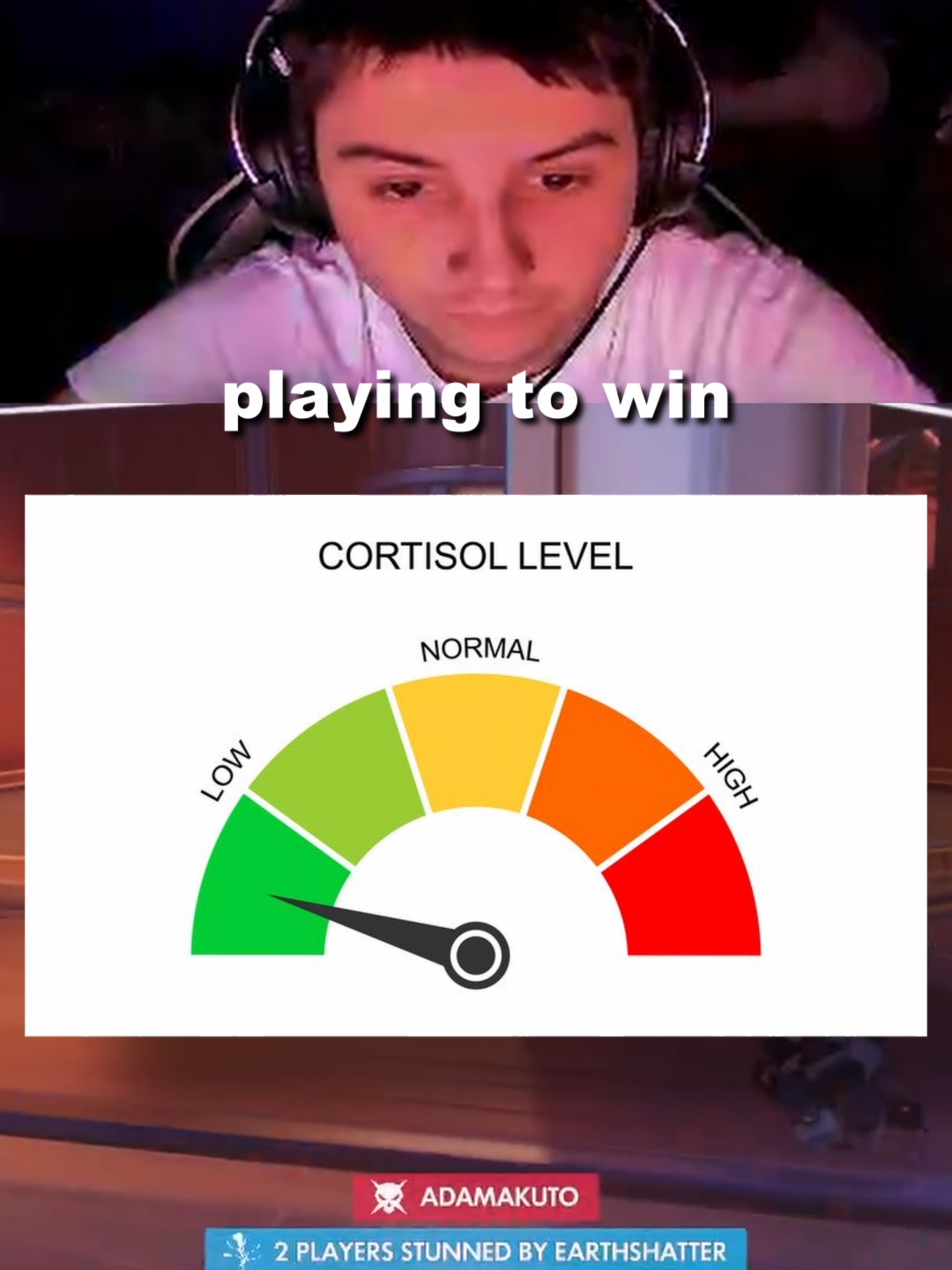 @spxrtex