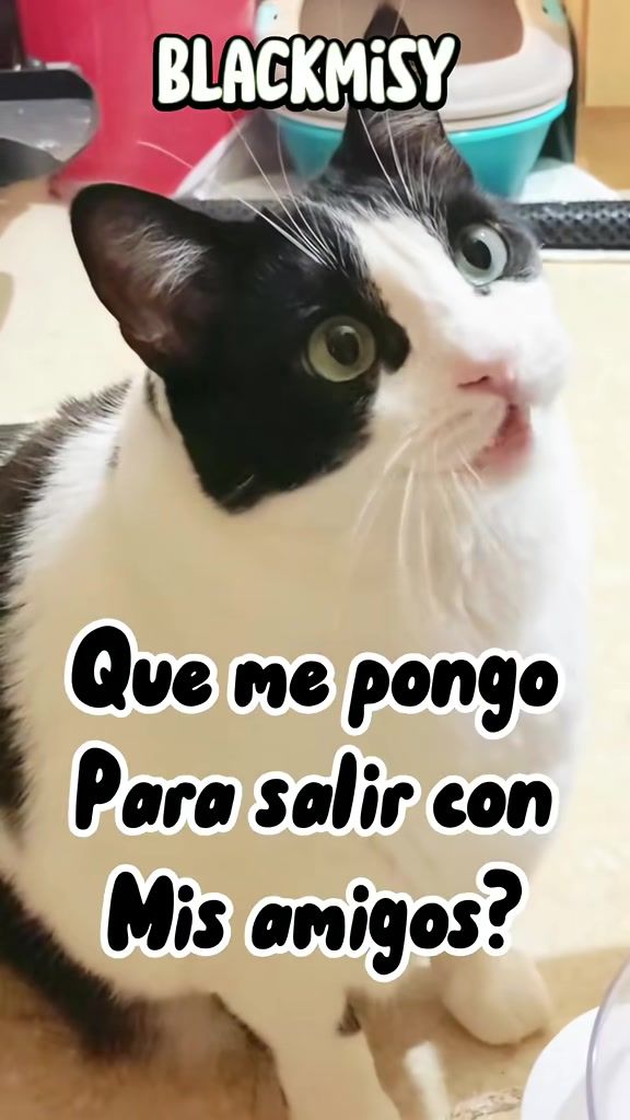 @BlackMisy