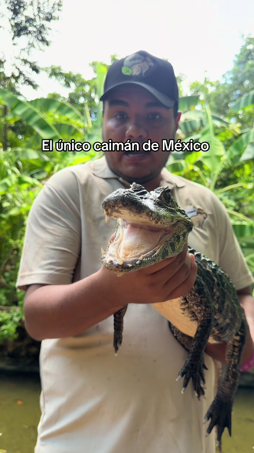 @Jair Herrera 🐆