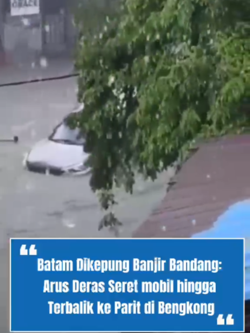 @tribunjogjadotcom