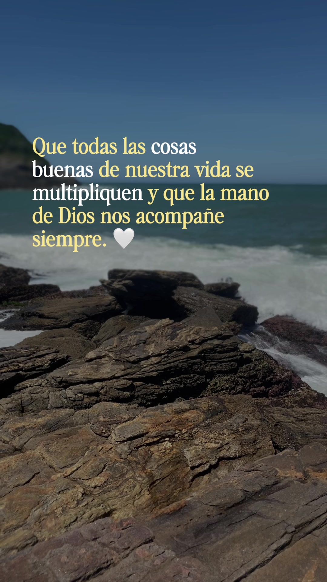 @Carolina Hinojosa