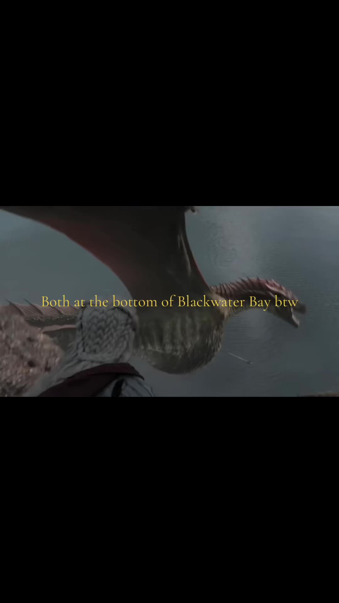 @🦕