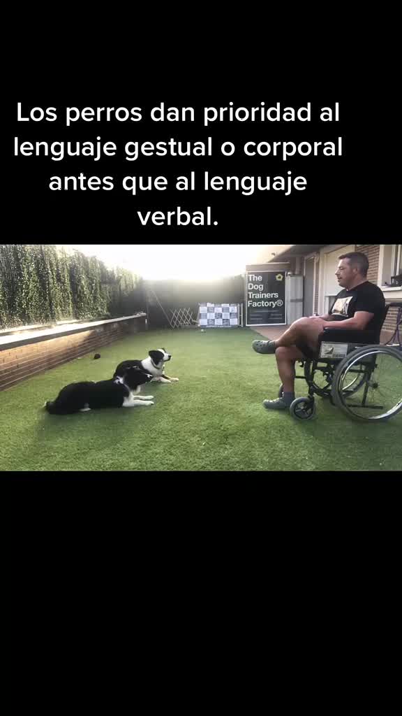 @Dani Pardos