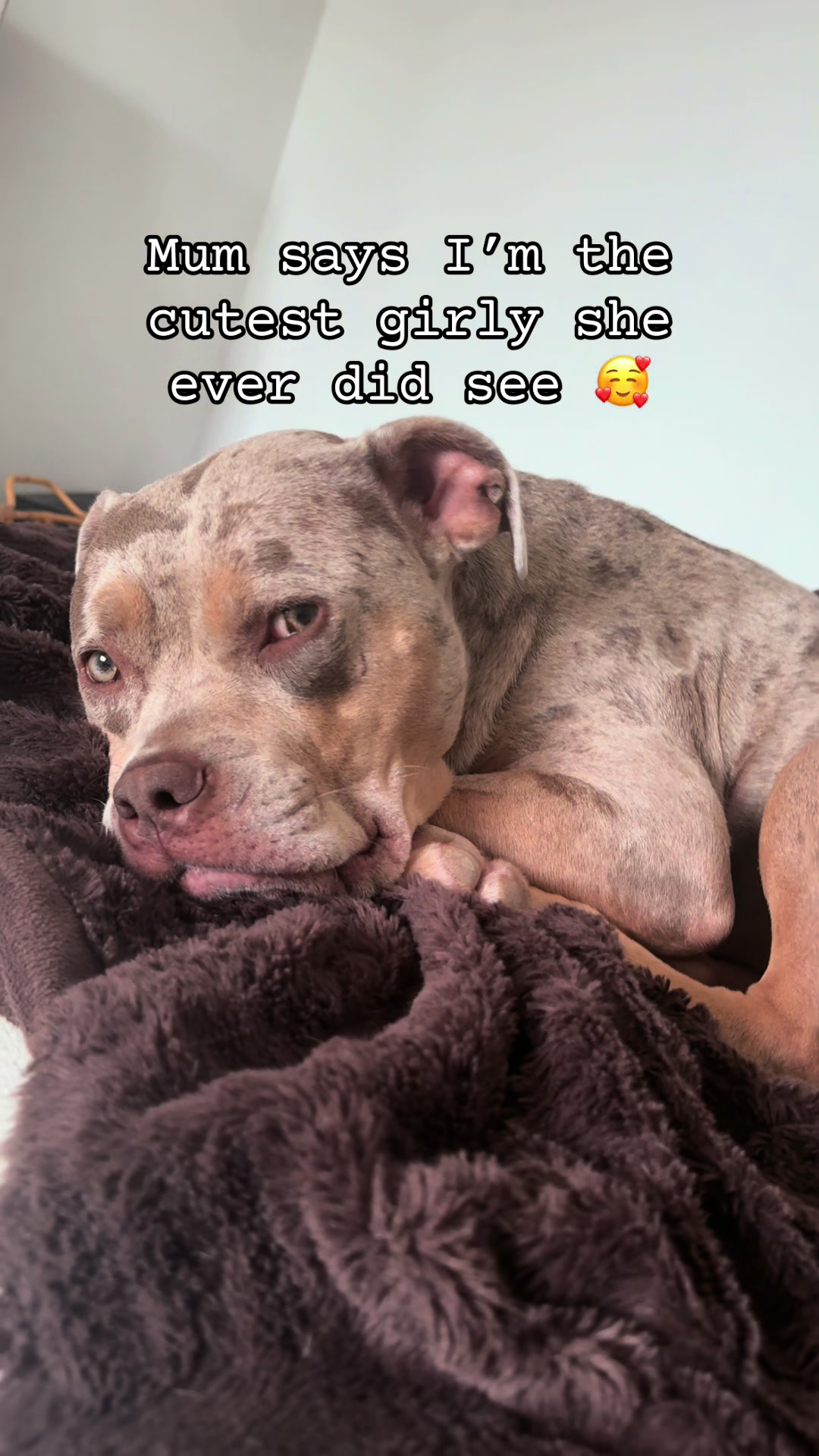 @Rue the Rescue