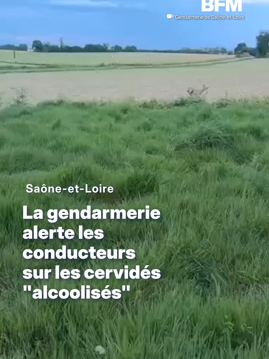 @BFMTV