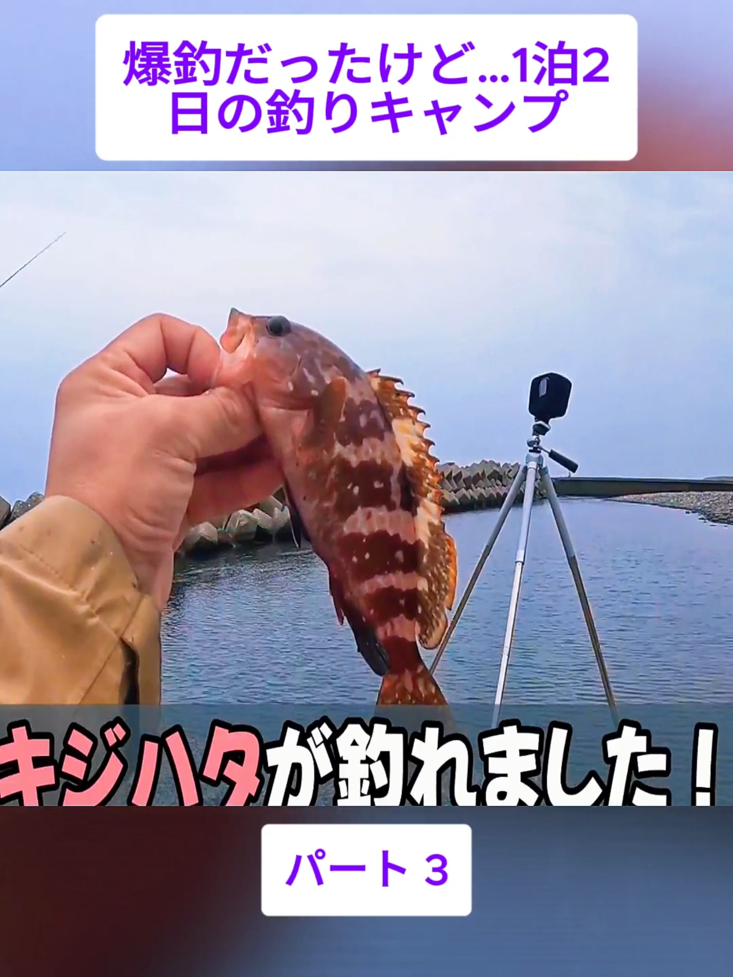 @スキューバダイビングチャンネル