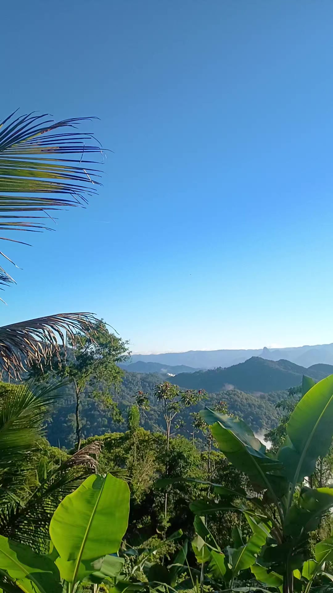 @vilmar alemão