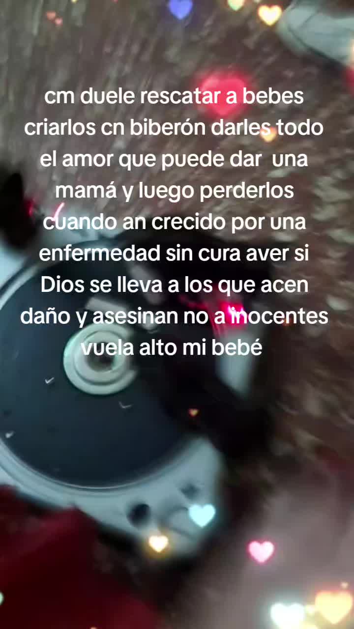 @Vero Jimenez Ferrer