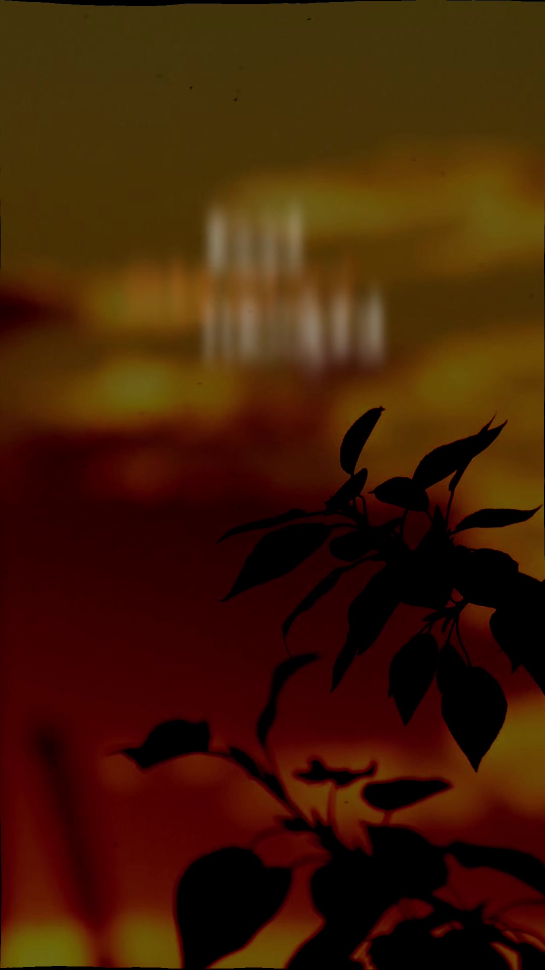 @𝐃𝐡𝐞𝐞_𝐄𝐝𝐢𝐭𝐳 ❤️&zwj;🩹