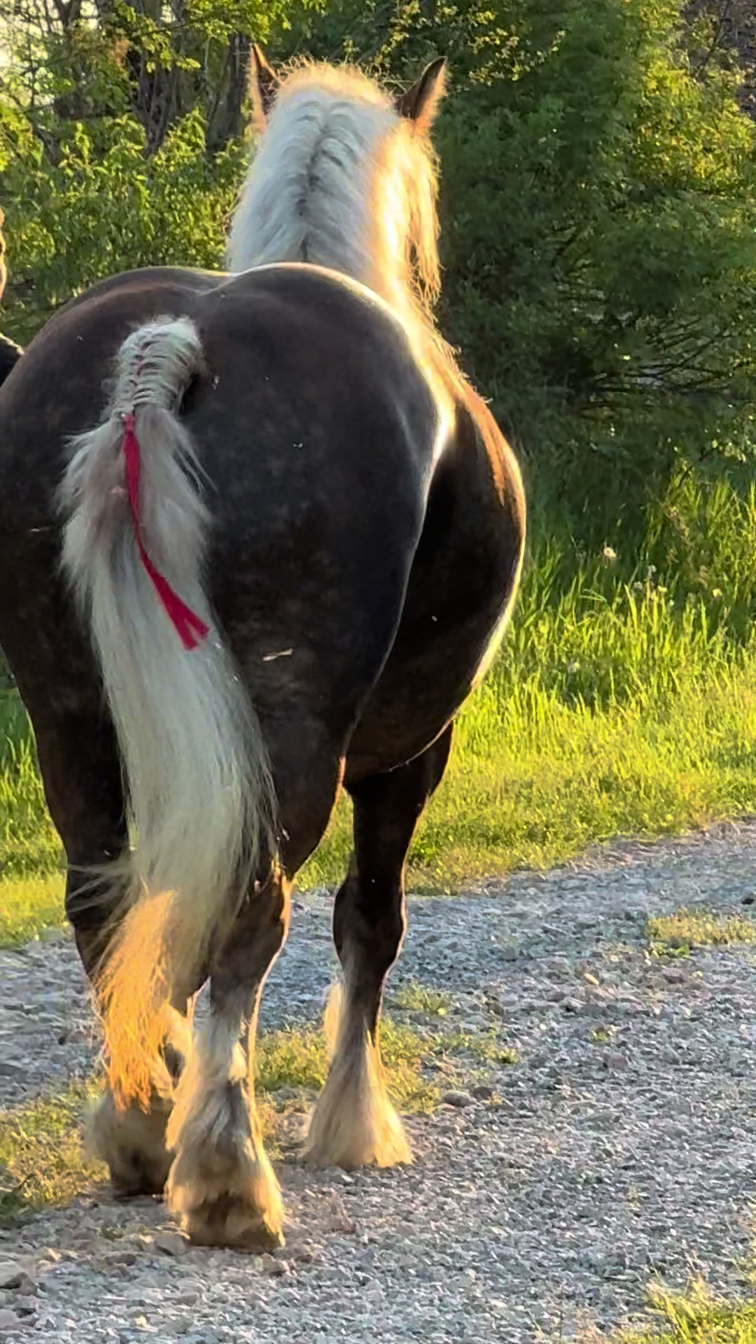 @🐴Spartanu🐴