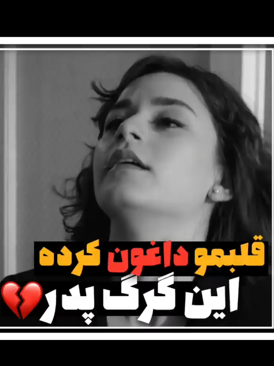 @Mehrab / مهراب
