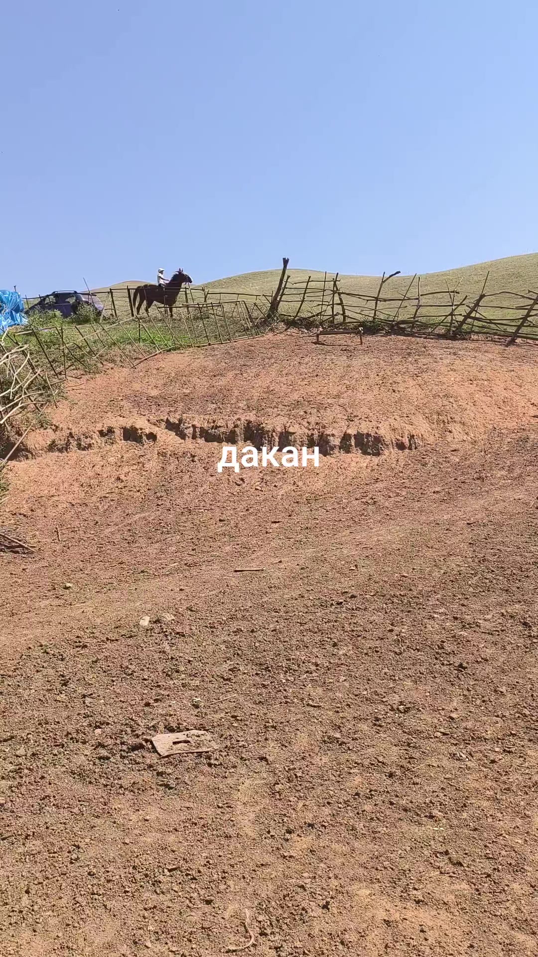 @tynycbekazaliev
