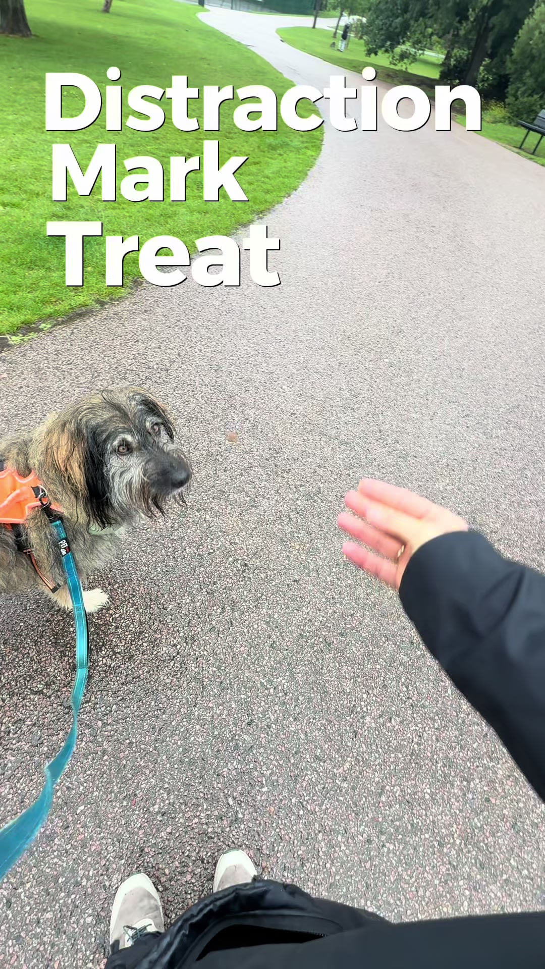 @MilneandMutt