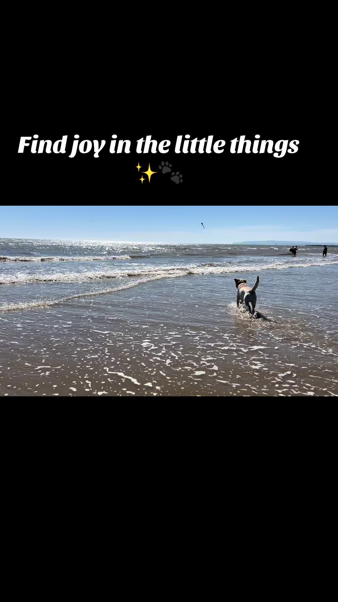 @Teddy 💕Charlie🐾💙
