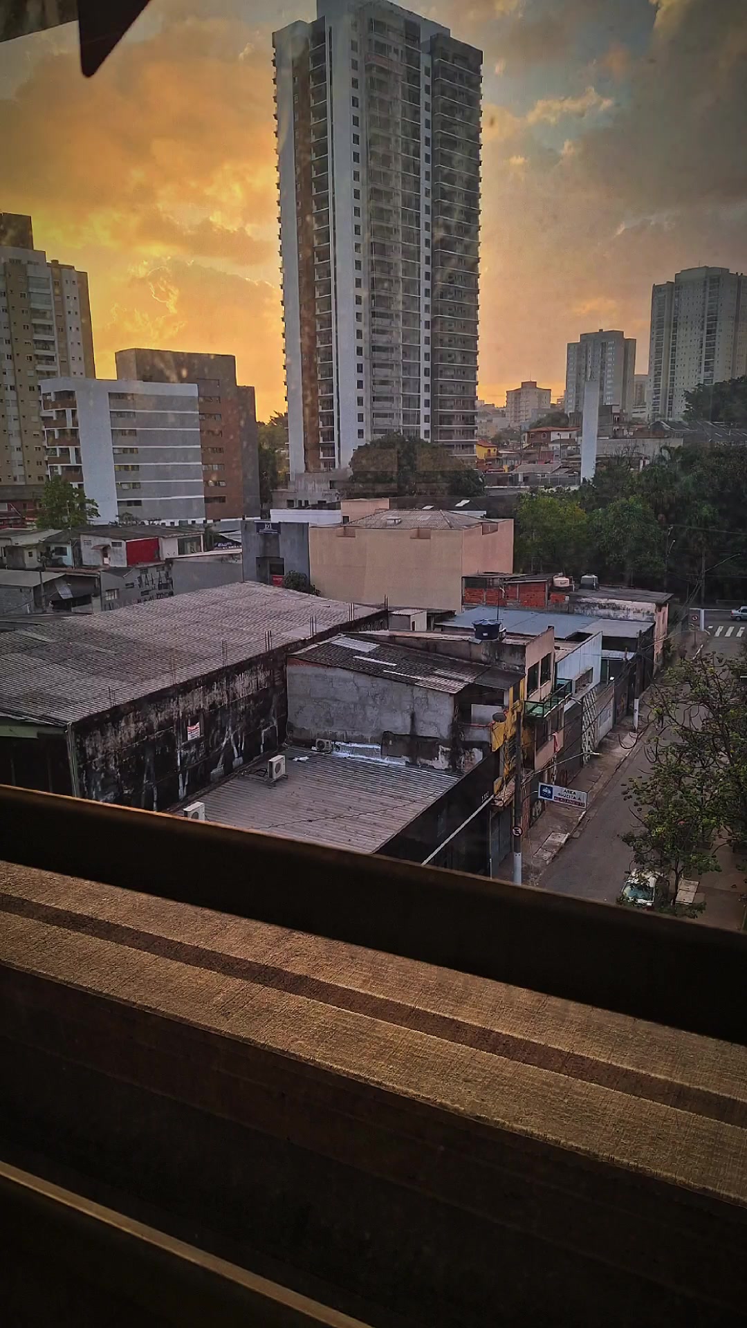 @Paloma S