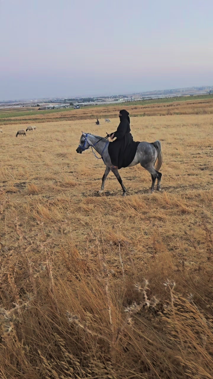 @الفارسة الملثمة 🐎🥷