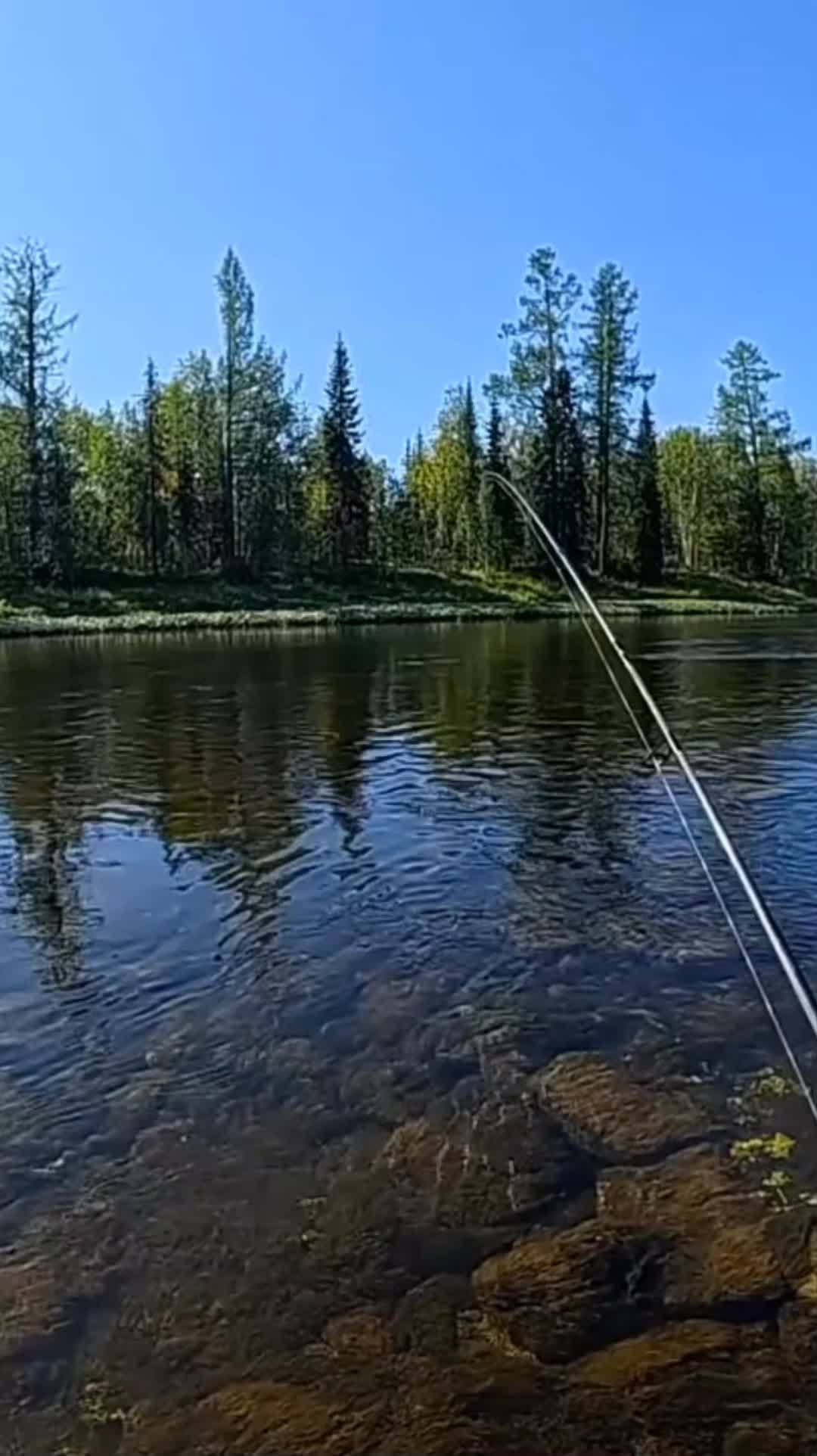 @ribalka_fishing