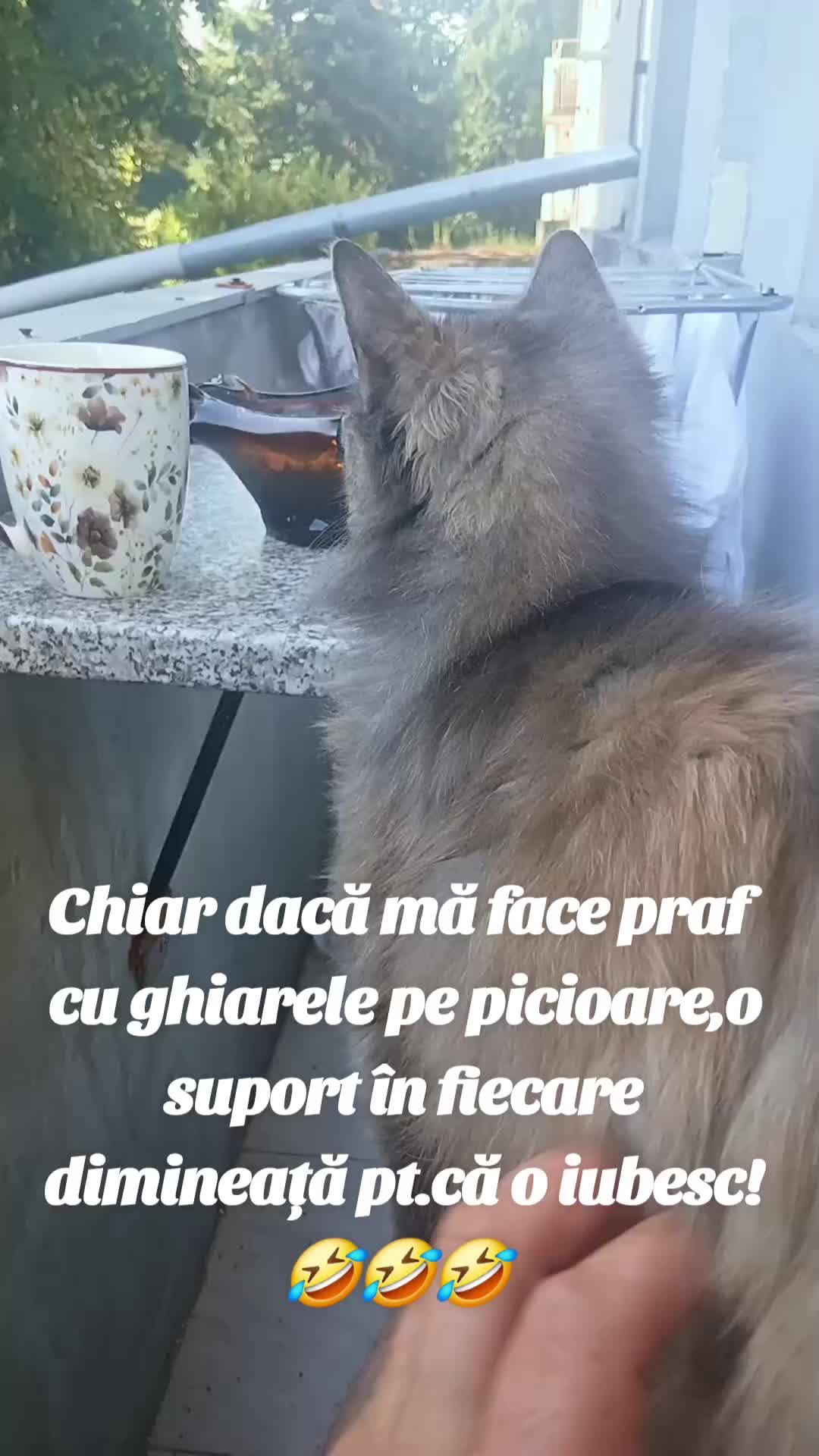 @Catalin Postolache