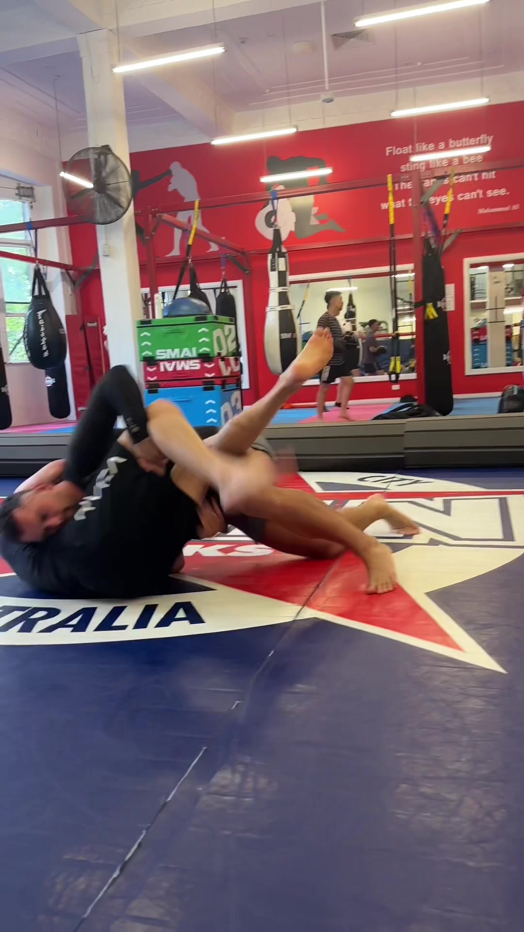 @Sports Grappling Systems