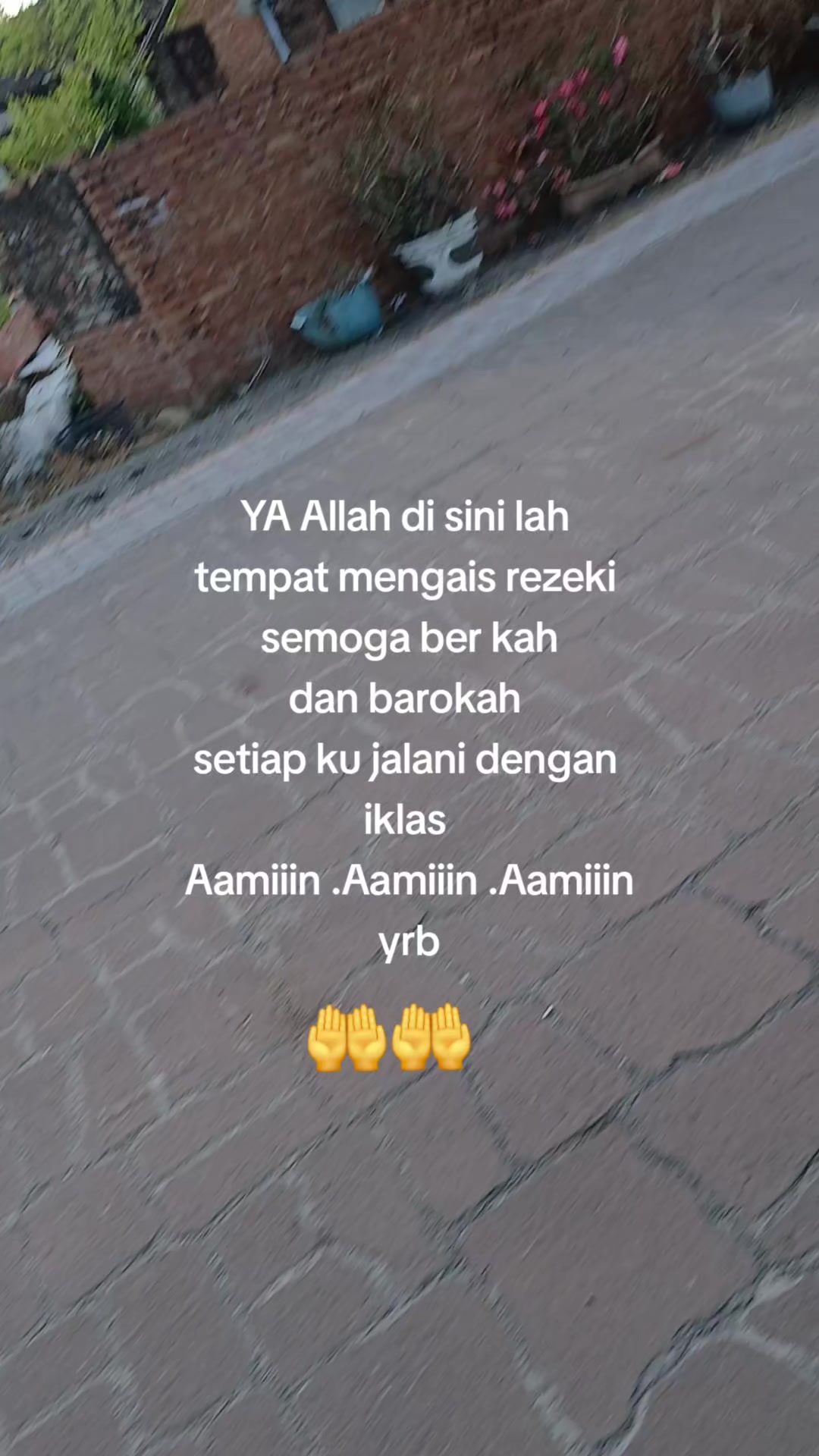 @Luzy