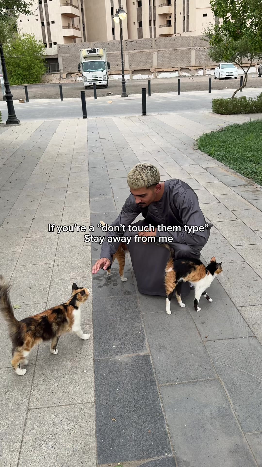 @MKlife