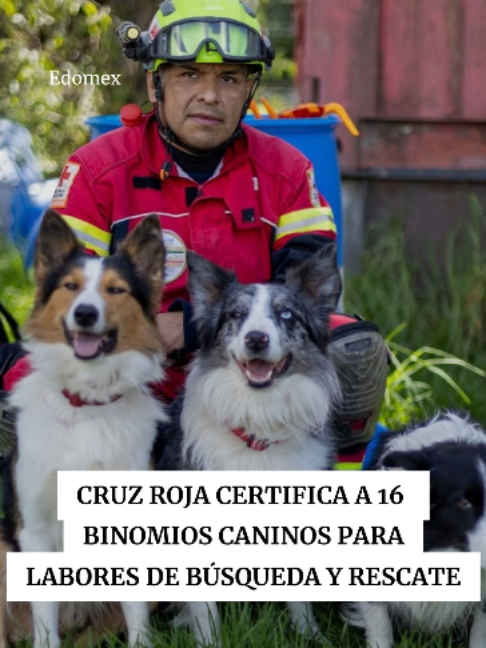 @Periódico Excélsior