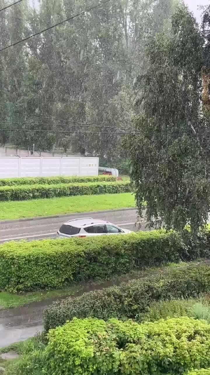 @рыжая бестия