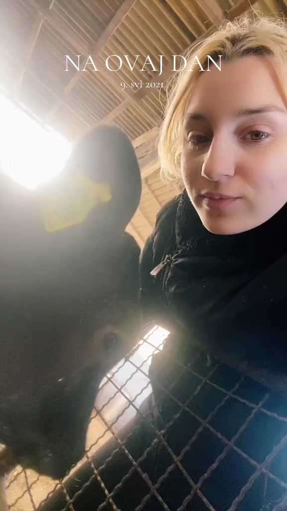 @Sofija Plavšić 🐮